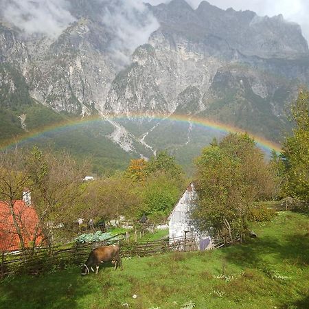 Shkodër Bujtina Milani Bed & Breakfast エクステリア 写真