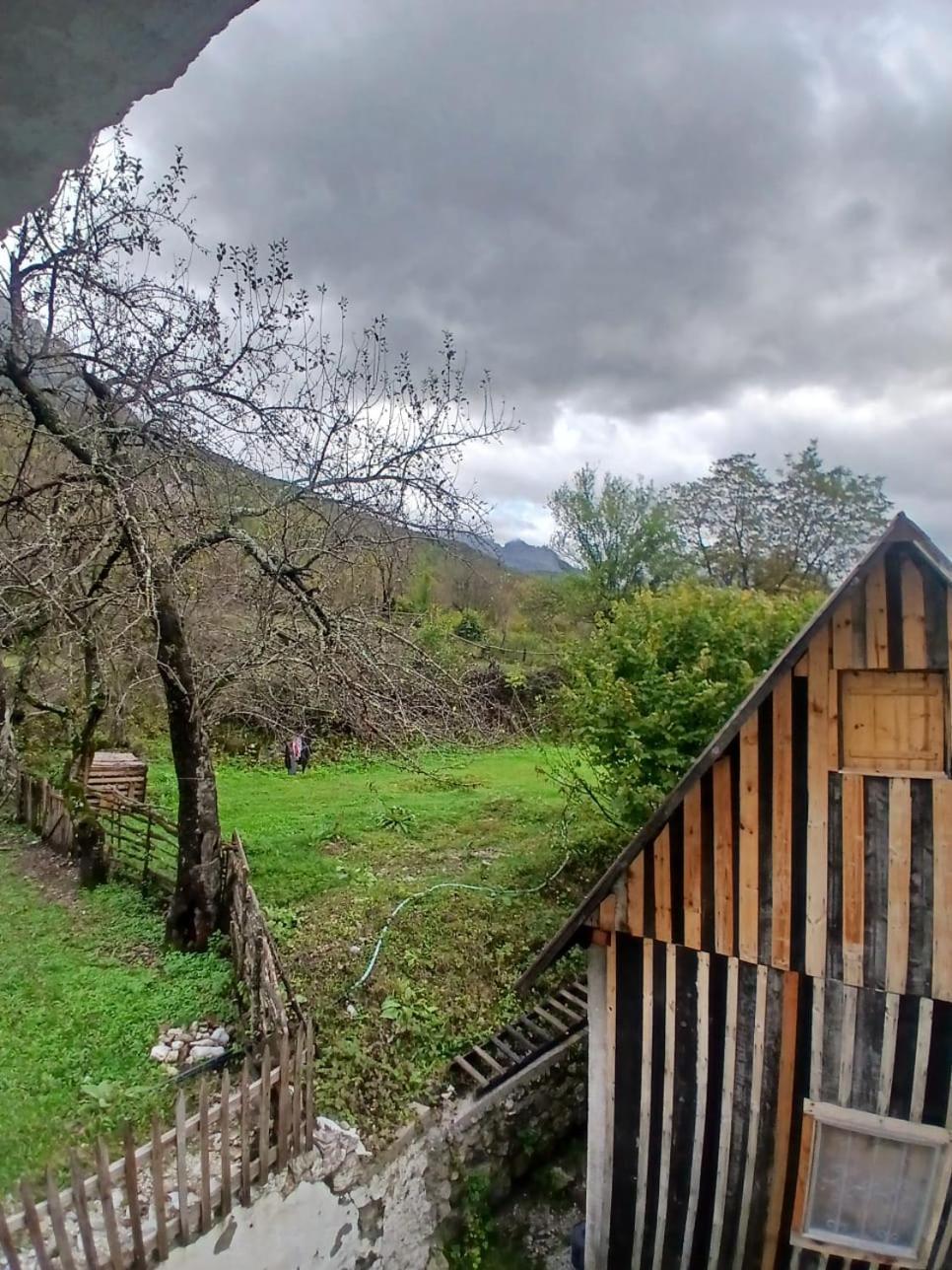 Shkodër Bujtina Milani Bed & Breakfast エクステリア 写真