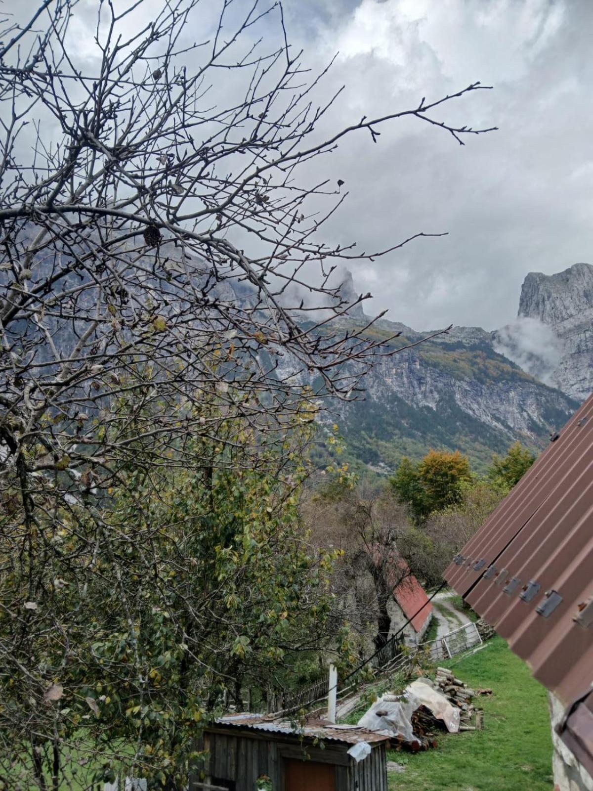 Shkodër Bujtina Milani Bed & Breakfast エクステリア 写真