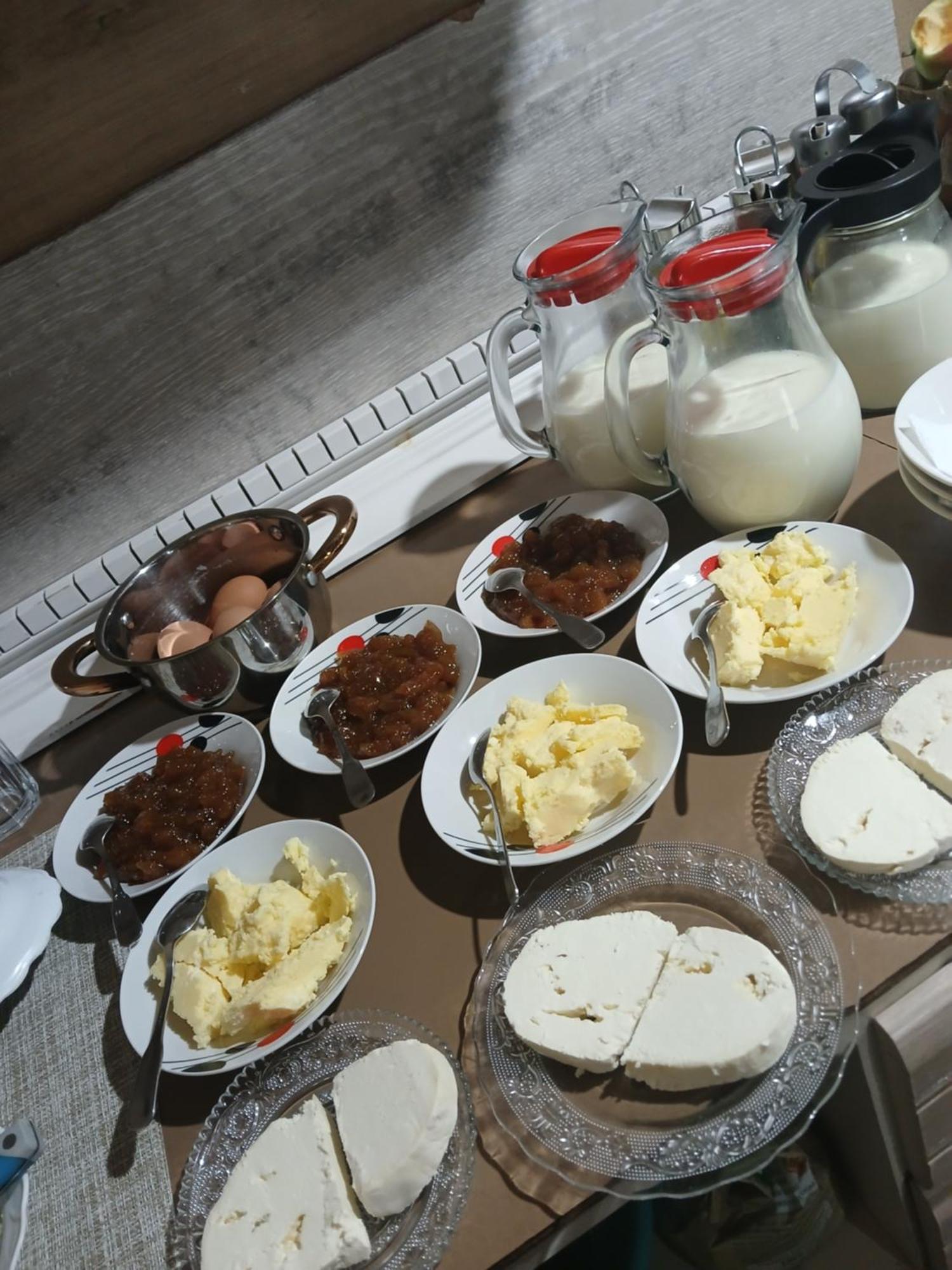 Shkodër Bujtina Milani Bed & Breakfast エクステリア 写真