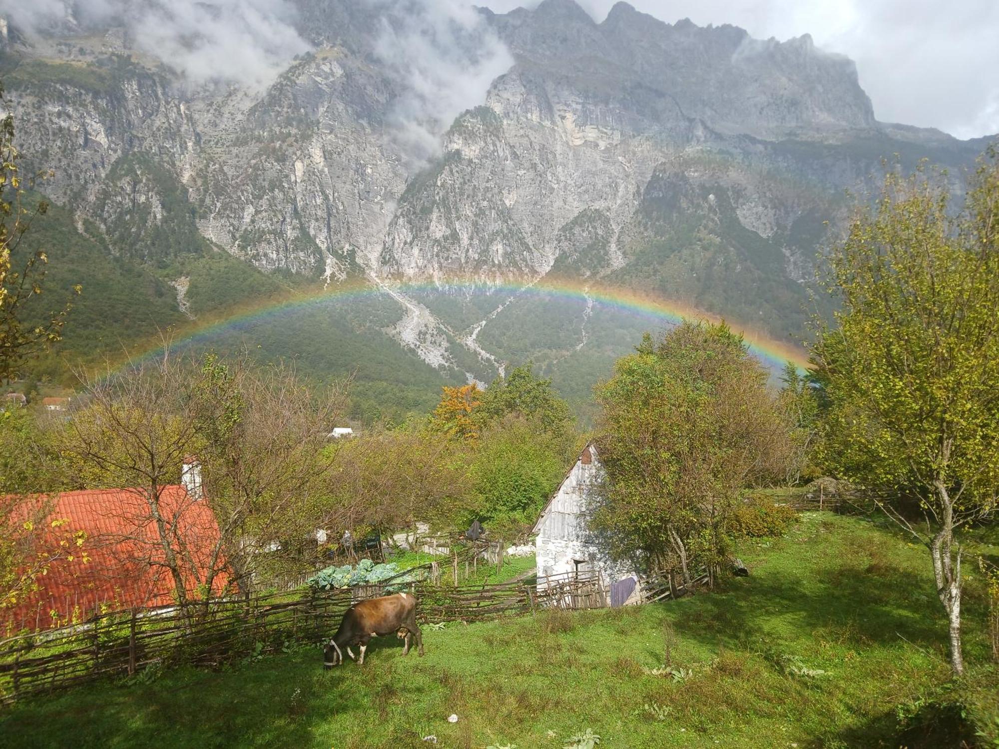 Shkodër Bujtina Milani Bed & Breakfast エクステリア 写真